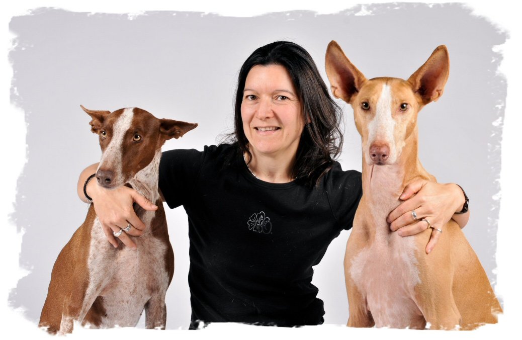 Hundeschule Bild mit Rahmen